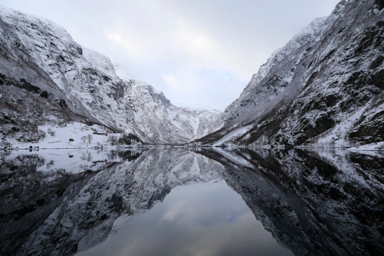 Trær og solskinn Trær og solskinn